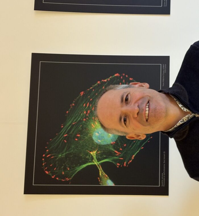 Professeur Alain Chariot – ULiège